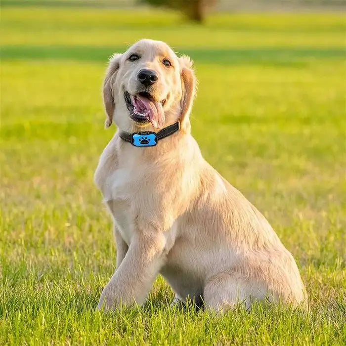 Smart Anti-Bark Collar